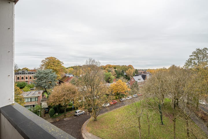 Foto 28 van Goeman Borgesiuslaan 87