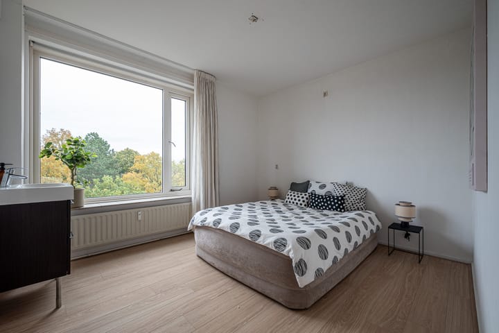 Foto 29 van Goeman Borgesiuslaan 87