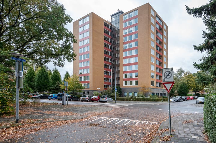 Foto 36 van Goeman Borgesiuslaan 87