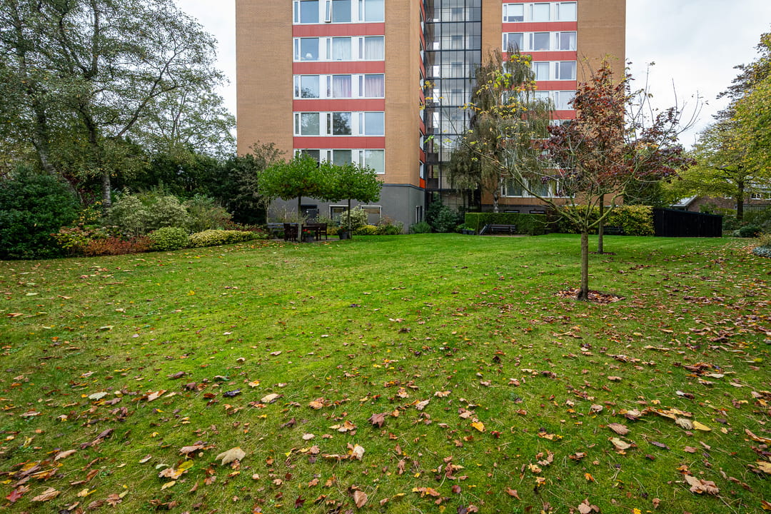 Photo 38 of Goeman Borgesiuslaan 87