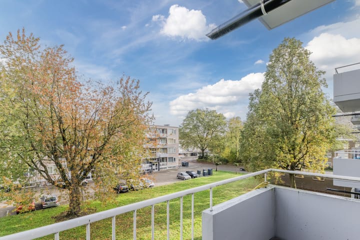 Foto 21 van Europalaan 609