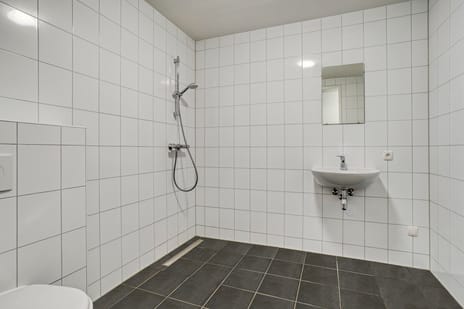 Ravelijn 12 tertiary image