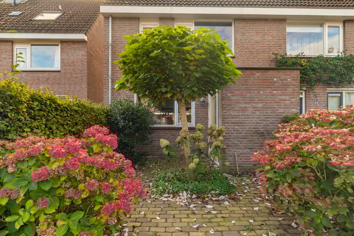 Foto 6 van Bosvaren 12