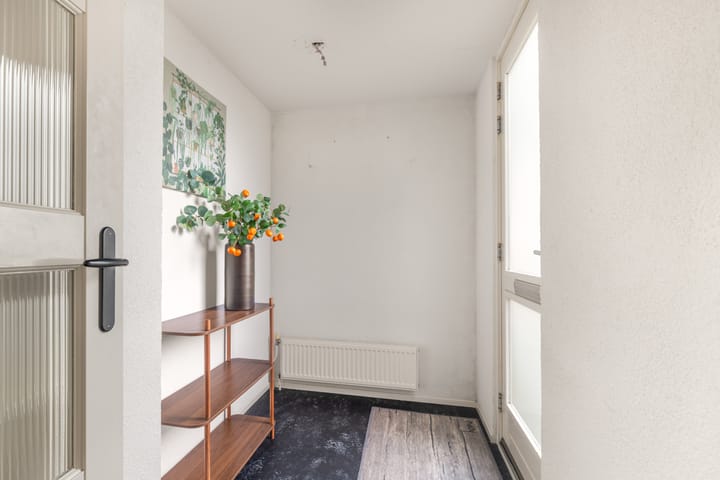 Foto 8 van Bosvaren 12