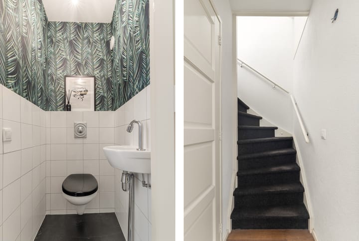 Foto 24 van Bosvaren 12