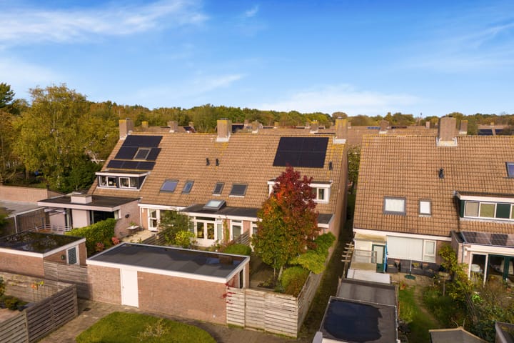 Foto 48 van Bosvaren 12