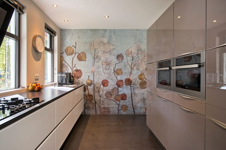 Foto 12 van van Limburg Stirumweg 28