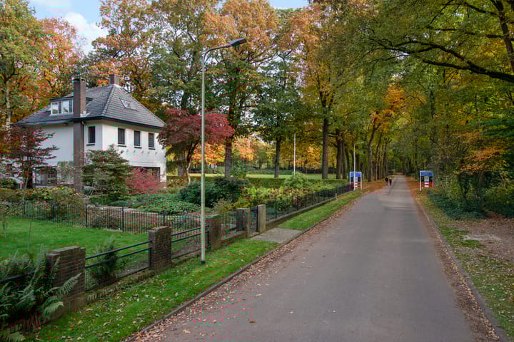 Foto 87 van van Limburg Stirumweg 28