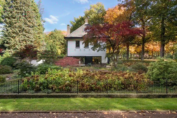 Foto 88 van van Limburg Stirumweg 28