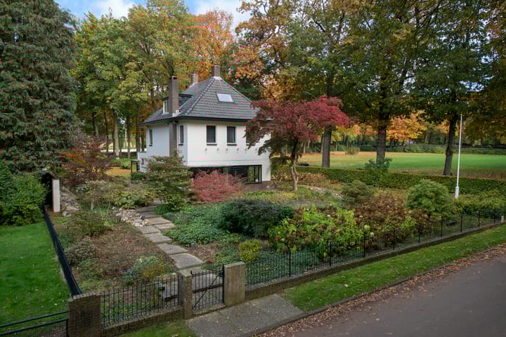 Foto 89 van van Limburg Stirumweg 28