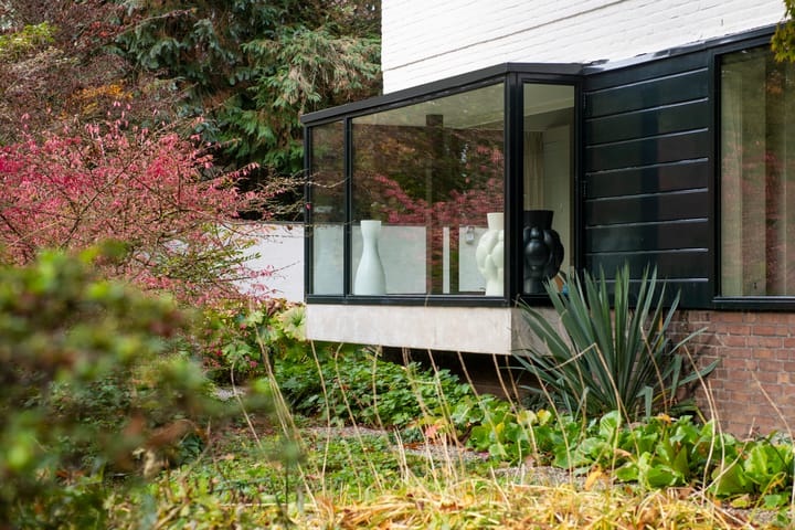 Foto 90 van van Limburg Stirumweg 28