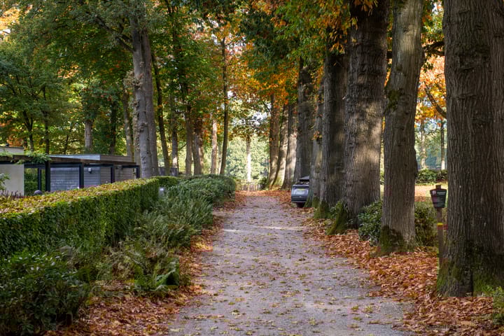 Foto 96 van van Limburg Stirumweg 28