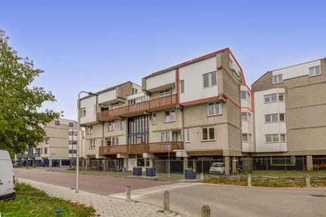 undefined main image