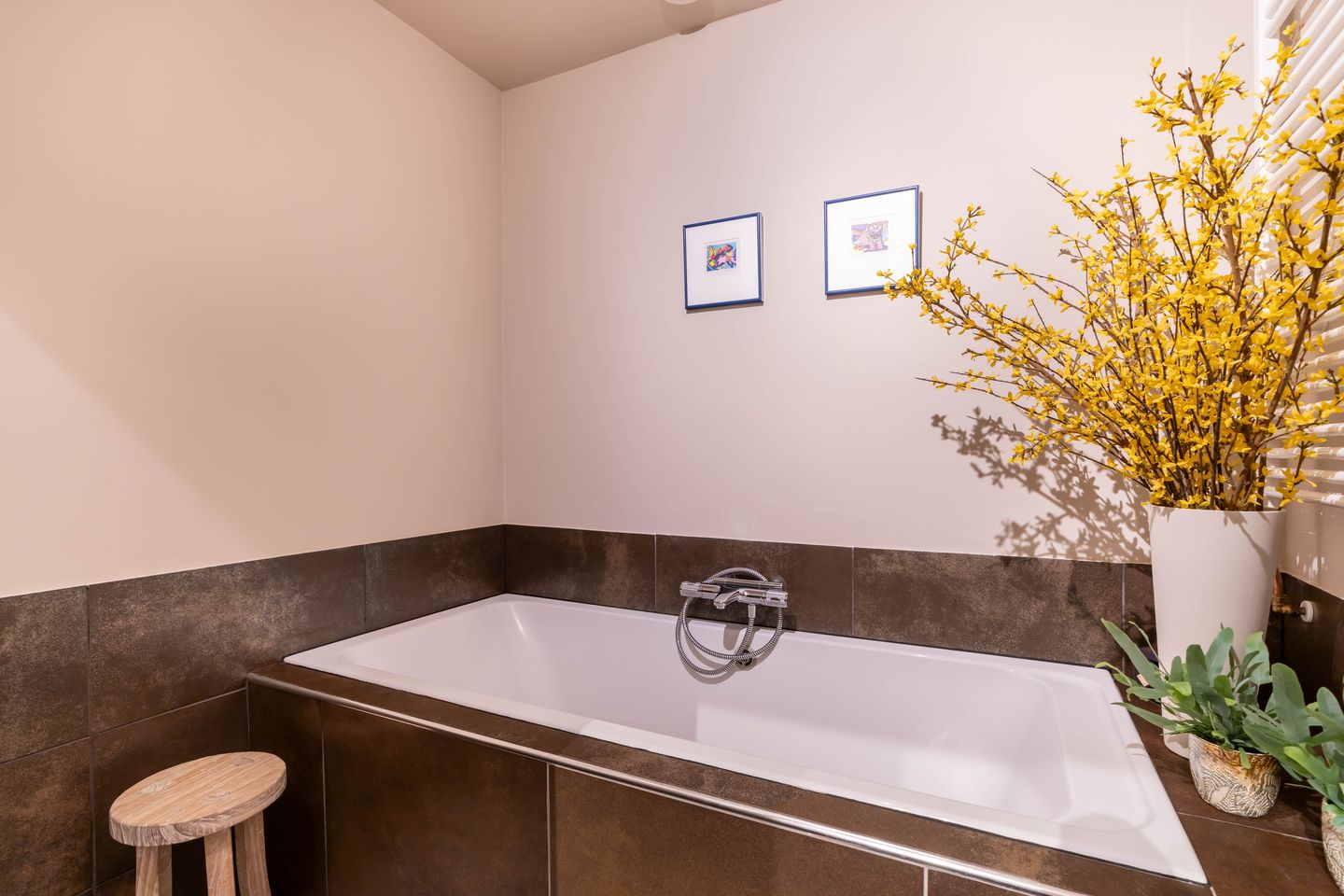 Foto 29 van Zwolsestraat 288