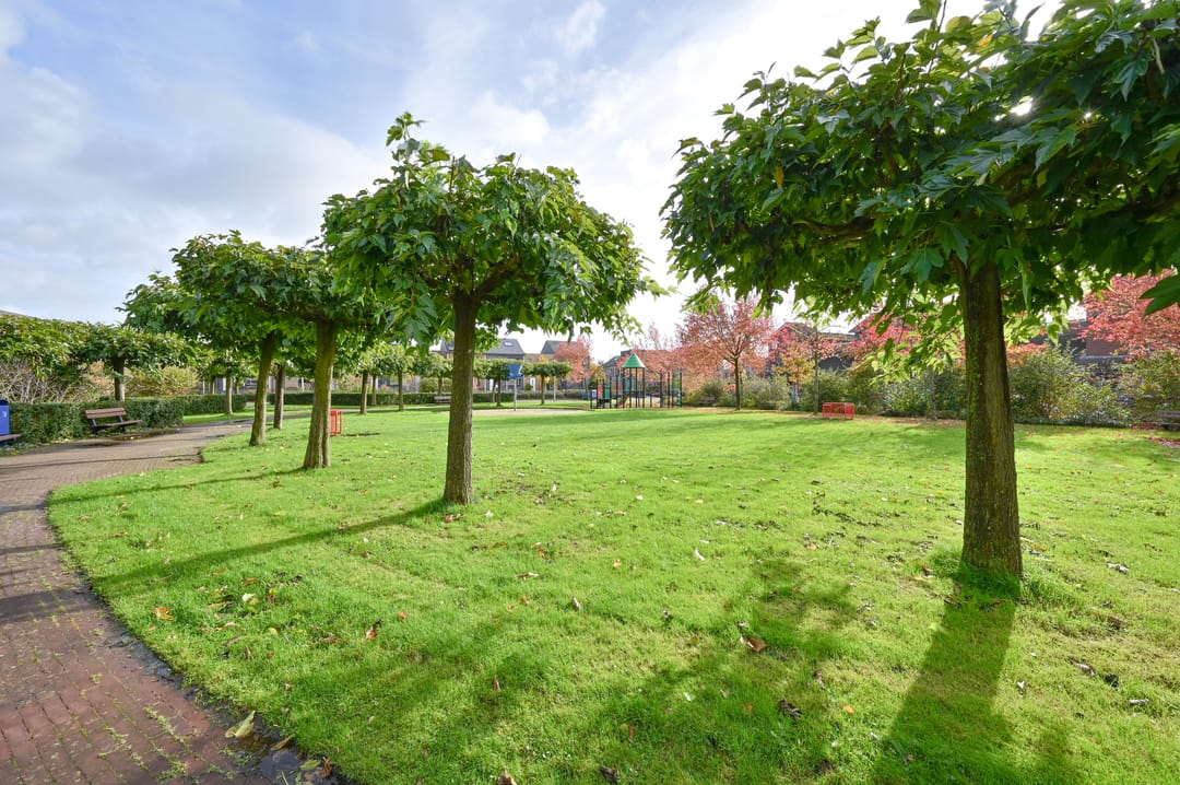 Foto 56 van Atalanta 32