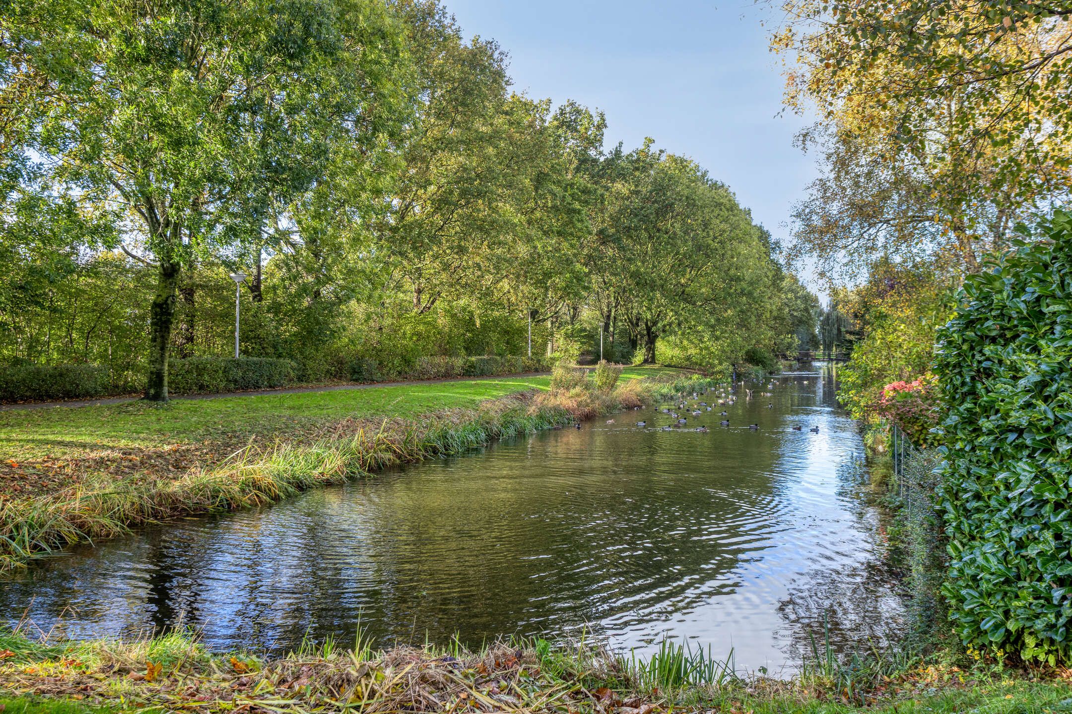 Foto 42 van Prins Bernhardstraat 61