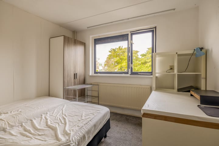 Foto 23 van Standaardmolen 53