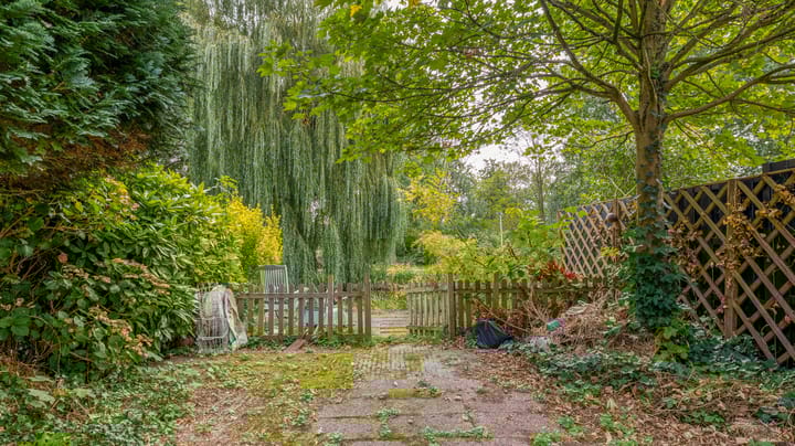 Foto 30 van Standaardmolen 53