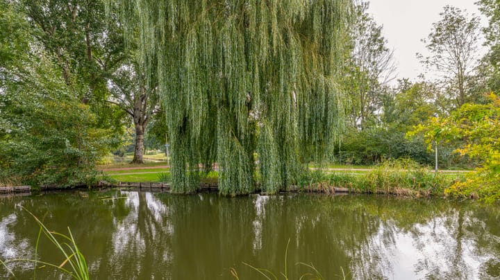 Foto 32 van Standaardmolen 53