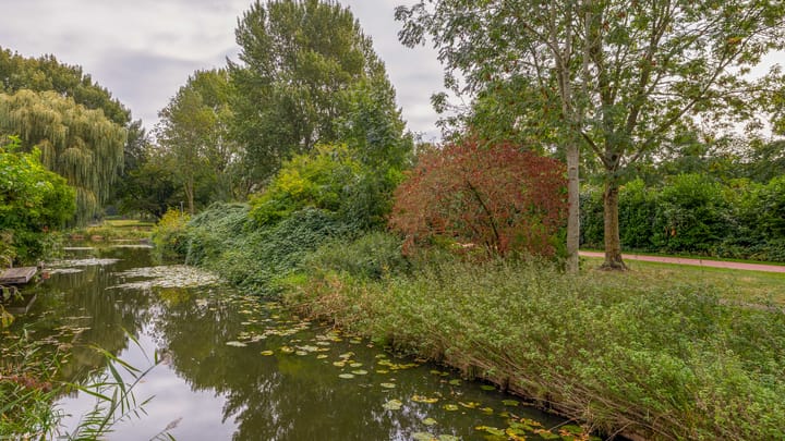 Foto 37 van Standaardmolen 53