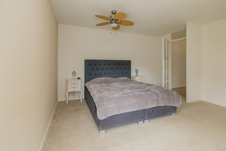 Foto 16 van L. Springerstraat 160