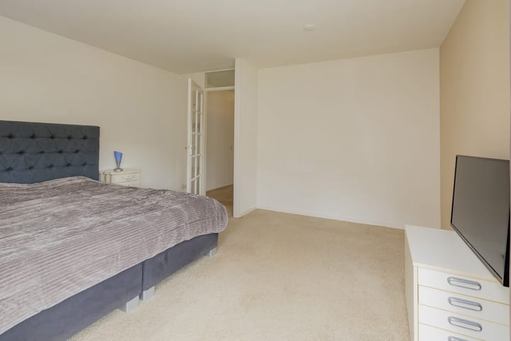 Foto 17 van L. Springerstraat 160