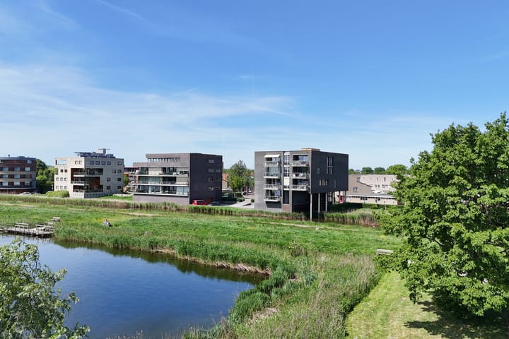 Foto 46 van L. Springerstraat 160