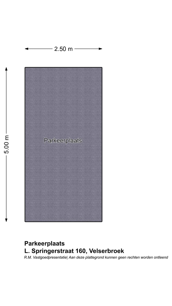 Foto 49 van L. Springerstraat 160