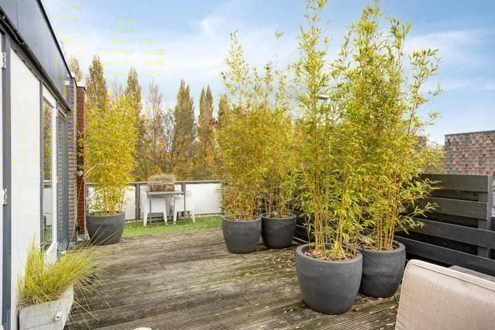 Photo 38 of Dertien Loten 55