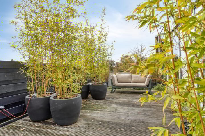 Photo 41 of Dertien Loten 55