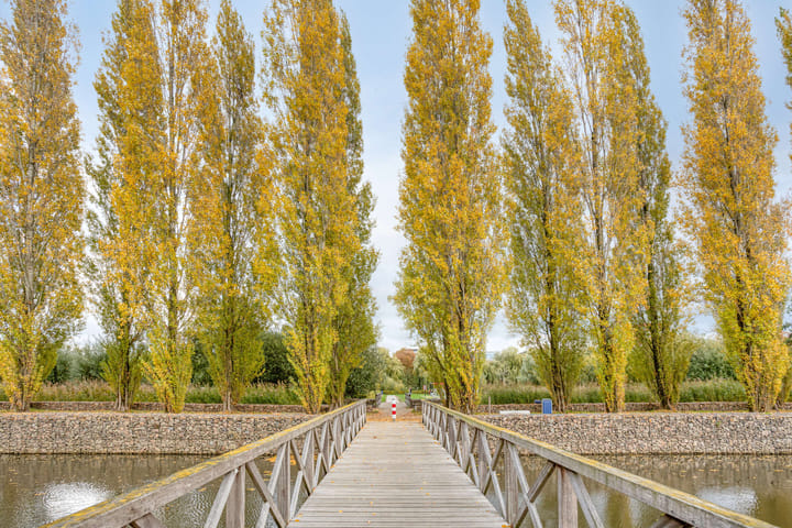 Photo 48 of Dertien Loten 55