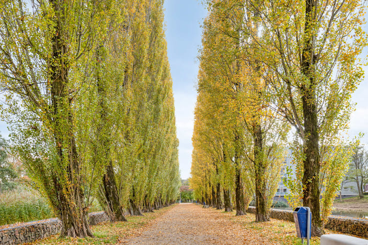 Photo 49 of Dertien Loten 55