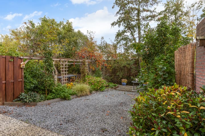 Foto 4 van Livingstonelaan 34