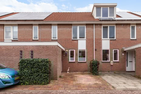 Livingstonelaan thumbnail