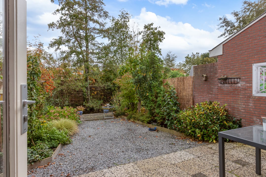 Foto 37 van Livingstonelaan 34