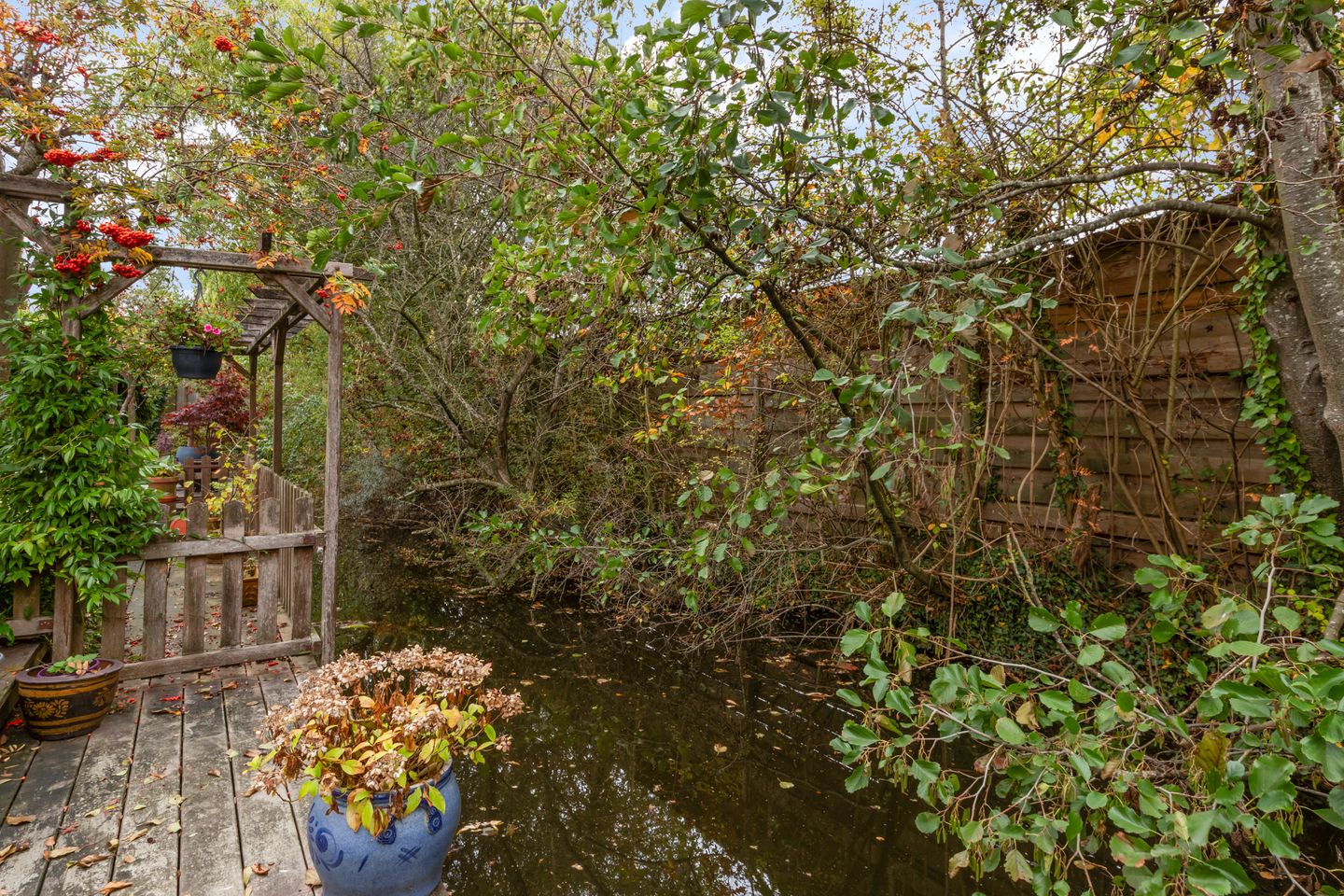 Foto 40 van Livingstonelaan 34