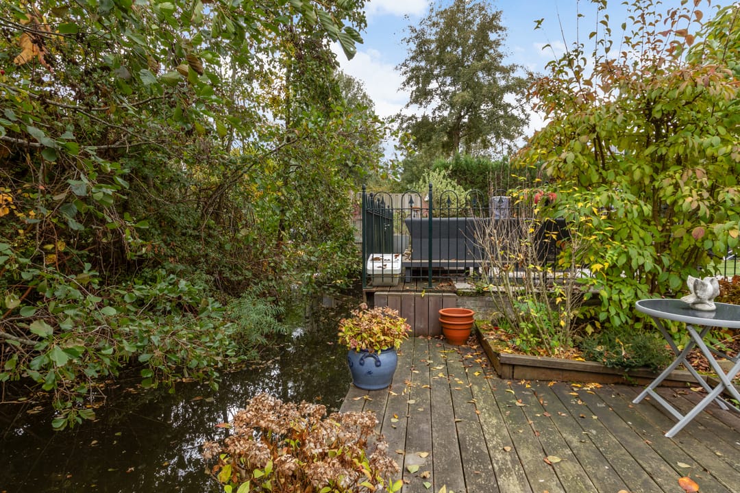 Foto 41 van Livingstonelaan 34