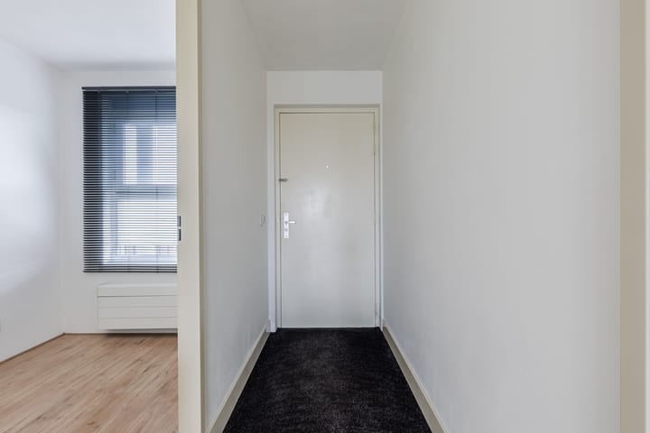 Photo 10 of Rode Ring 239