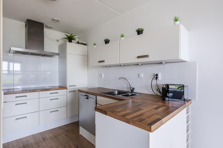 Photo 17 of Rode Ring 239