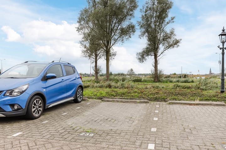 Photo 26 of Rode Ring 239