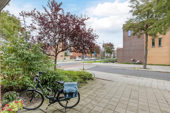 Photo 27 of Rode Ring 239