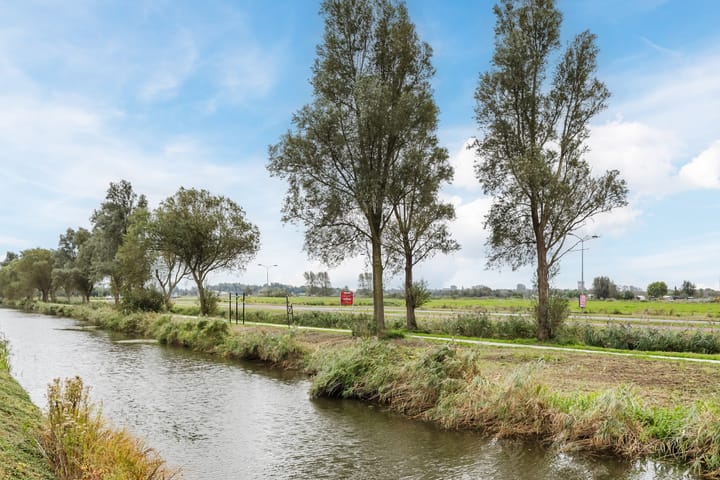 Photo 32 of Rode Ring 239