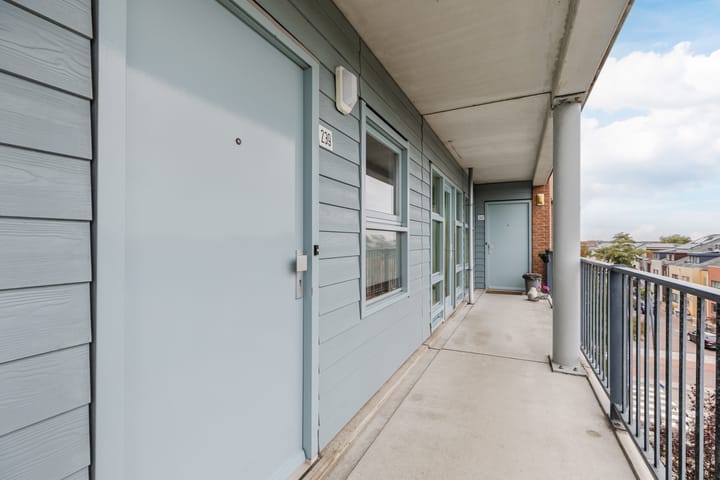 Photo 9 of Rode Ring 239