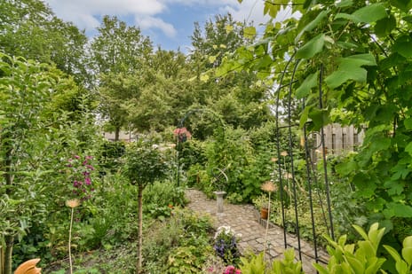 Elzendreef 21 tertiary image