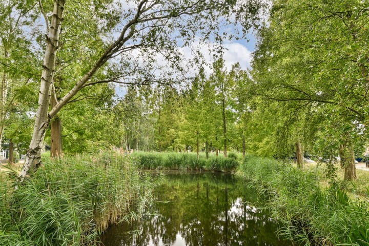 Foto 38 van Elzendreef 21