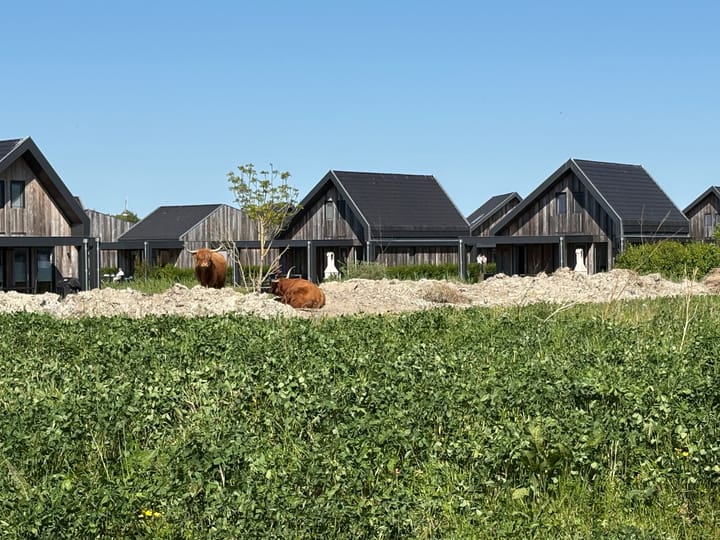 Foto 37 van De Terp 3