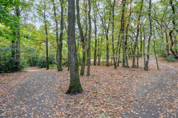 Photo 25 of Sint Josephstraat 83