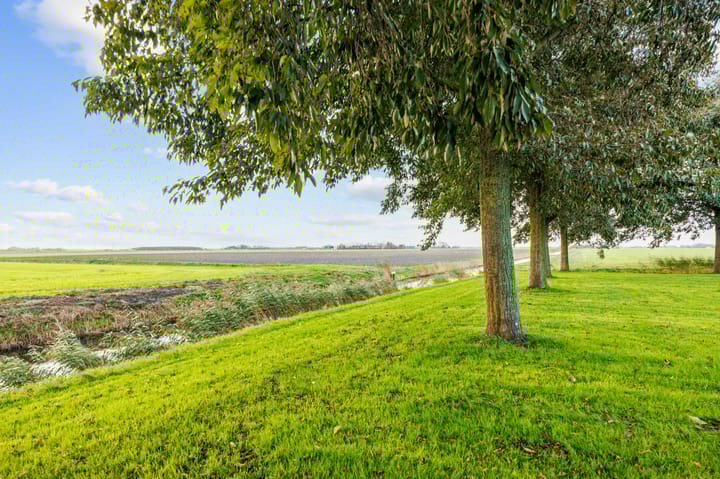 Photo 6 of Bargereed 104