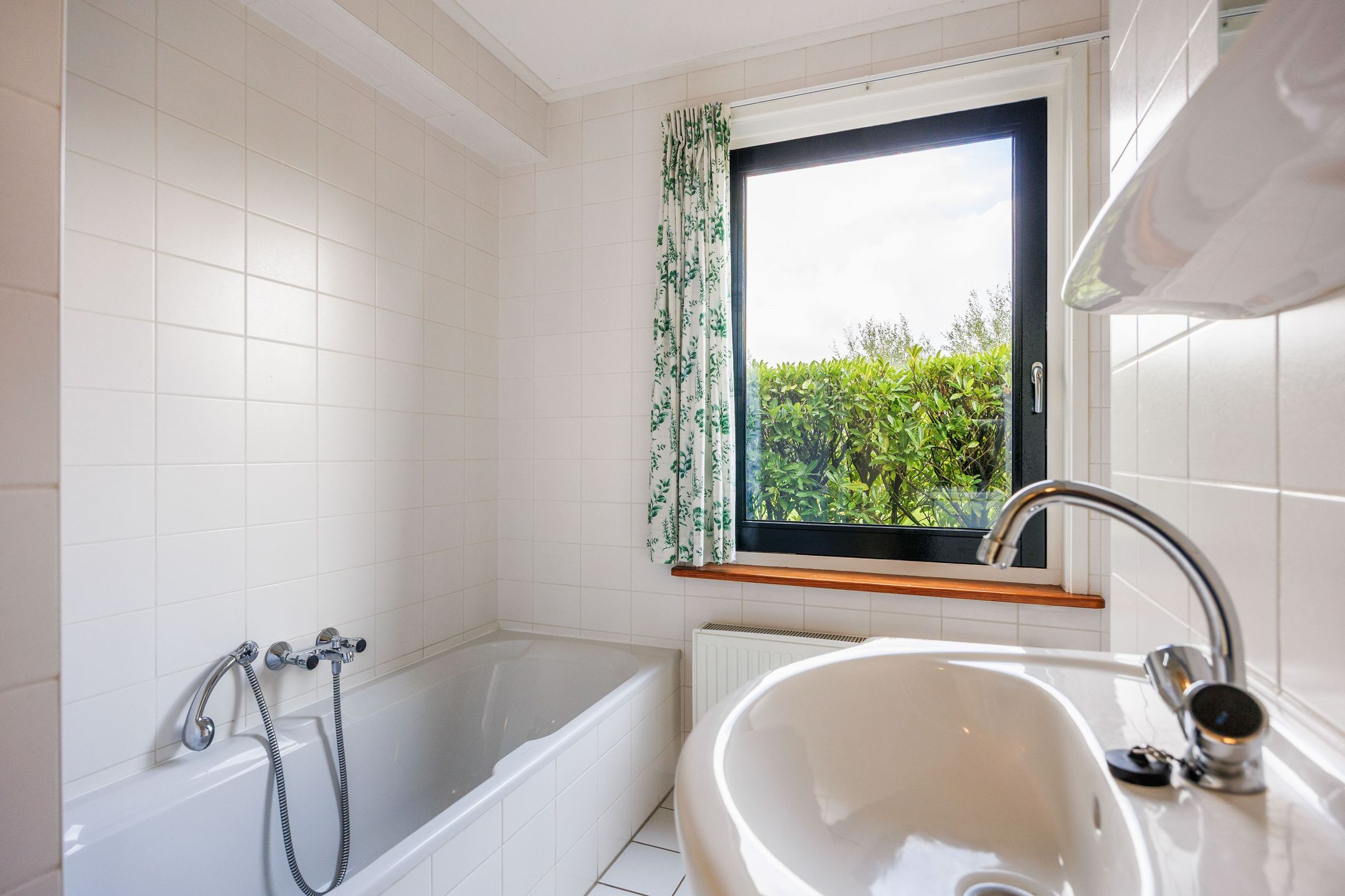 Photo 30 of Bargereed 104