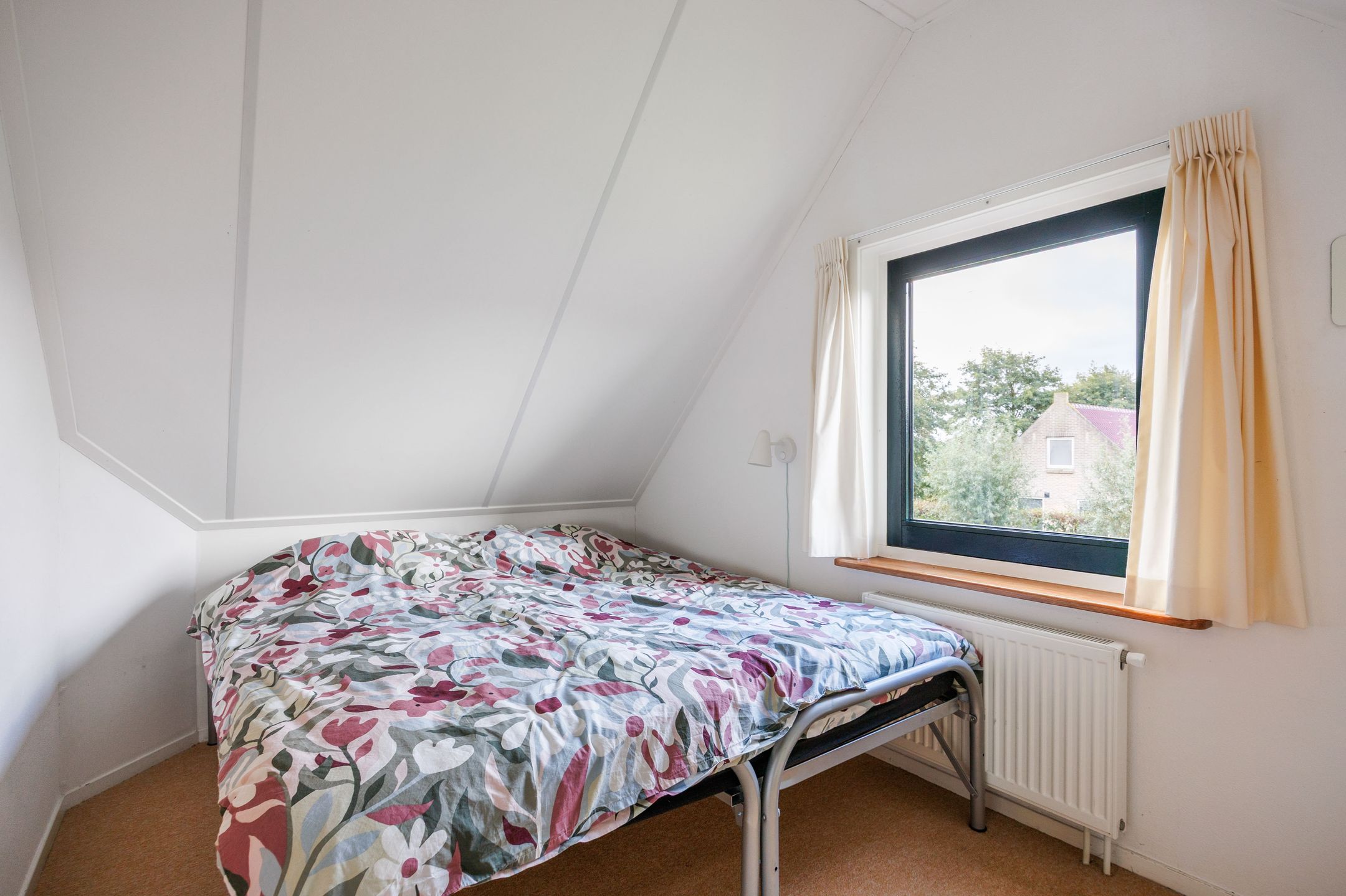 Photo 36 of Bargereed 104